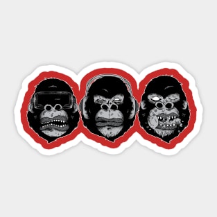 Funky 3 Monkey Heads Sticker